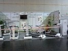 Timeline Photos