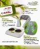 Timeline Photos