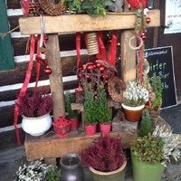 Timeline Photos
