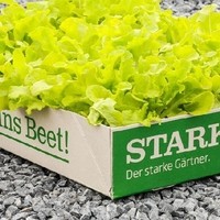 STARKL - Der starke Gärtner.'s cover photo