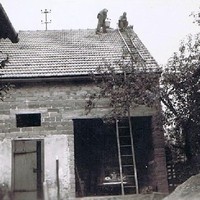 Dach gedeckt (1960)