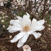 Photos from Herberts Stubn's post
