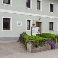 Krötzl's Kürbiskernöl