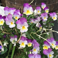 Timeline Photos