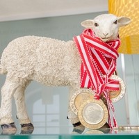 Christine Grausgruber Lammkiste10