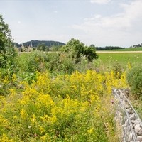 Christine Grausgruber Lammkiste19