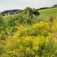 Christine Grausgruber Lammkiste20