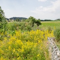 Christine Grausgruber Lammkiste19