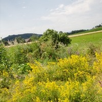 Christine Grausgruber Lammkiste20