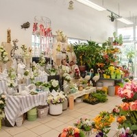 Happy Flower   Floristik & Geschenksartikel11