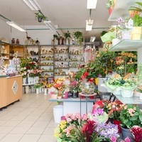 Happy Flower   Floristik & Geschenksartikel6