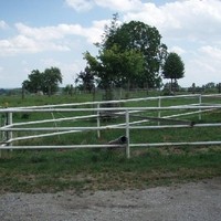 westernhof 06