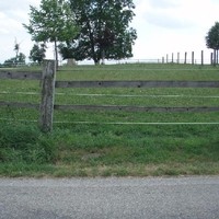westernhof 08