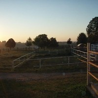 westernhof 09 0