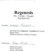 Regenesis | Bio - Cellular - Therapie