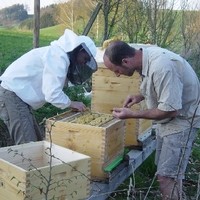 Bienenarbeit - Frühjahrsrevision