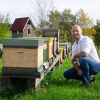Ansicht Bienenstöcke mit Roland Seiringer