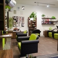 Haarwerk Sandra11