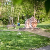 Dornacher Park Frühling