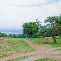 Demeter Hof1