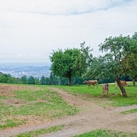 Demeter Hof1