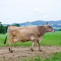 Demeter Hof6