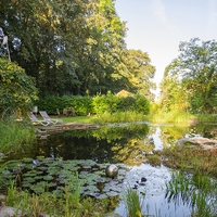 Matula Gartengestaltung GmbH10