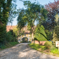 Matula Gartengestaltung GmbH1