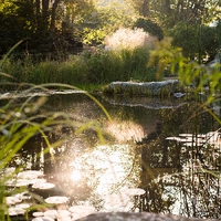 Matula Gartengestaltung GmbH6