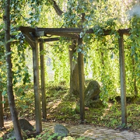 Matula Gartengestaltung GmbH7