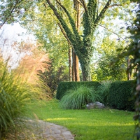 Matula Gartengestaltung GmbH8