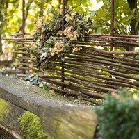 Karoline Schnepps Gartenheilkraft14