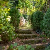 Karoline Schnepps Gartenheilkraft15