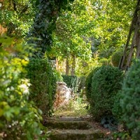 Karoline Schnepps Gartenheilkraft15