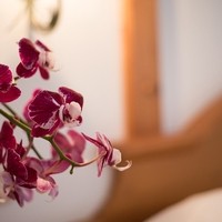 Abpurg Pension6