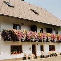 Bauernhof Dorfinger20