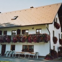 Bauernhof Dorfinger23
