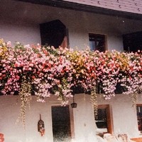 Bauernhof Dorfinger25
