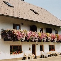 Bauernhof Dorfinger20