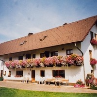 Bauernhof Dorfinger21