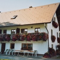 Bauernhof Dorfinger23
