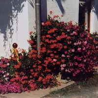 Bauernhof Dorfinger24