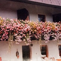 Bauernhof Dorfinger25