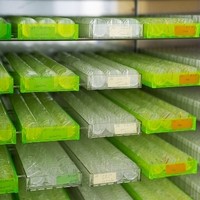 Bürgermeister Libellenproduktion10