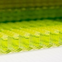 Bürgermeister Libellenproduktion14