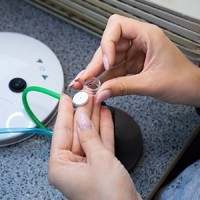 Bürgermeister Libellenproduktion18