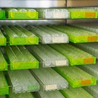 Bürgermeister Libellenproduktion10