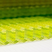 Bürgermeister Libellenproduktion14