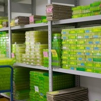 Bürgermeister Libellenproduktion15