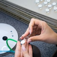 Bürgermeister Libellenproduktion18